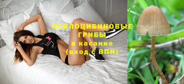 гидра Магадан