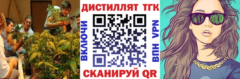 где можно купить   Барнаул  ТГК концентрат 