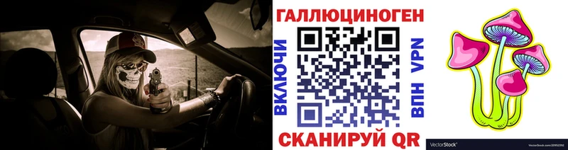 kraken   Барнаул  Псилоцибиновые грибы мухоморы 